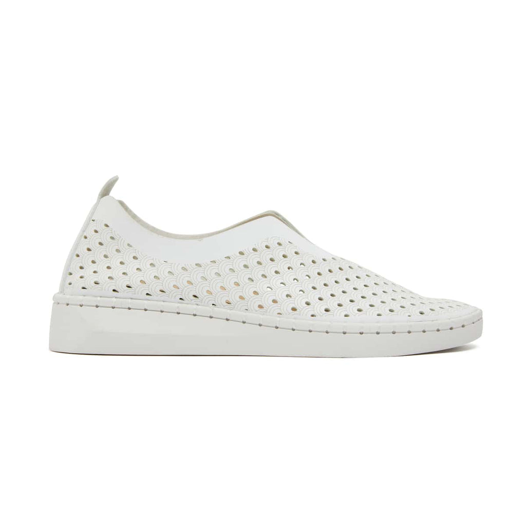 Dot Sneaker in White | Easy Steps | Shoe HQ