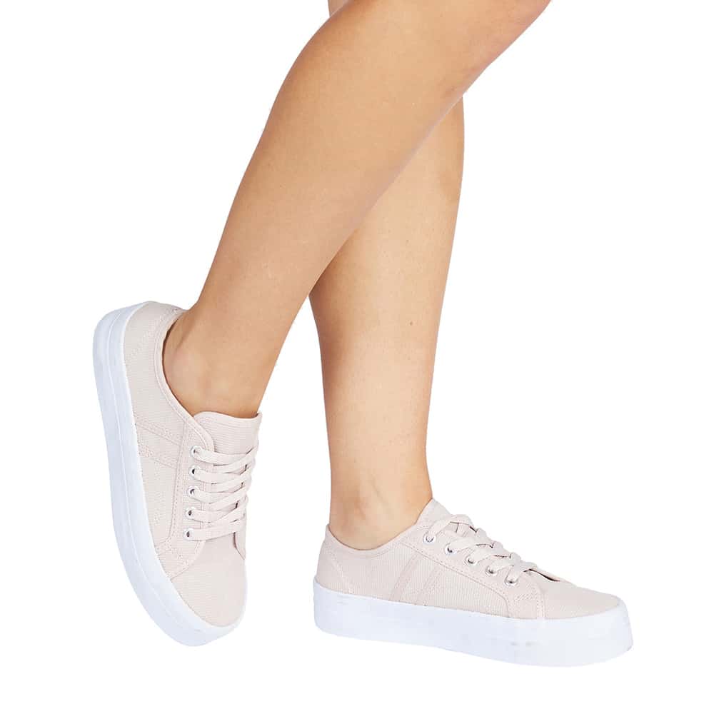 Scott Sneaker in Blush Canvas