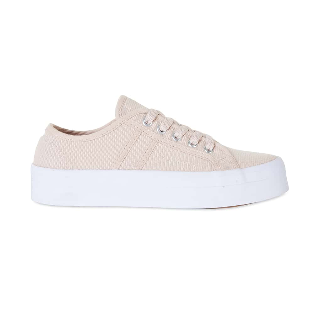 Scott Sneaker in Blush Canvas