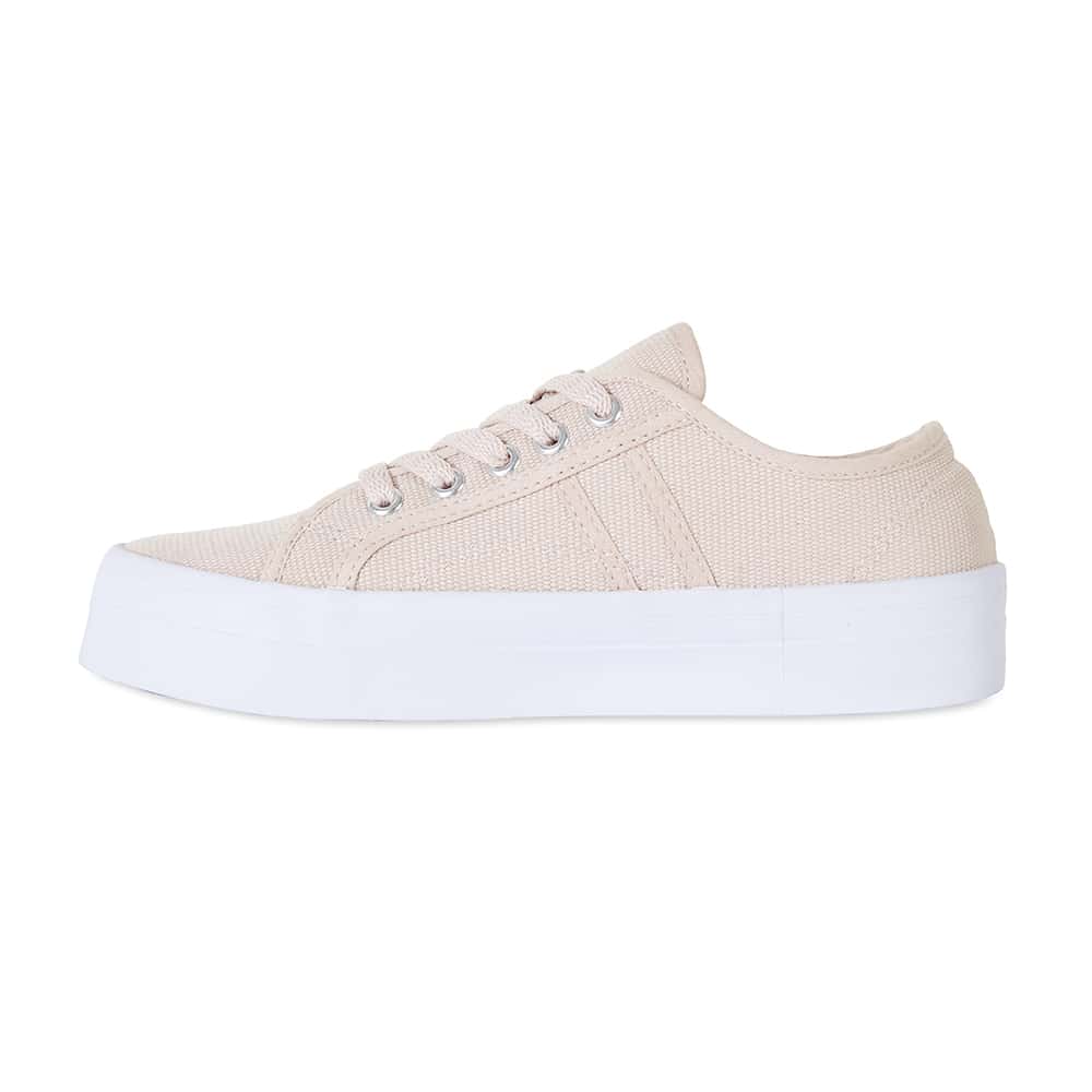 Scott Sneaker in Blush Canvas