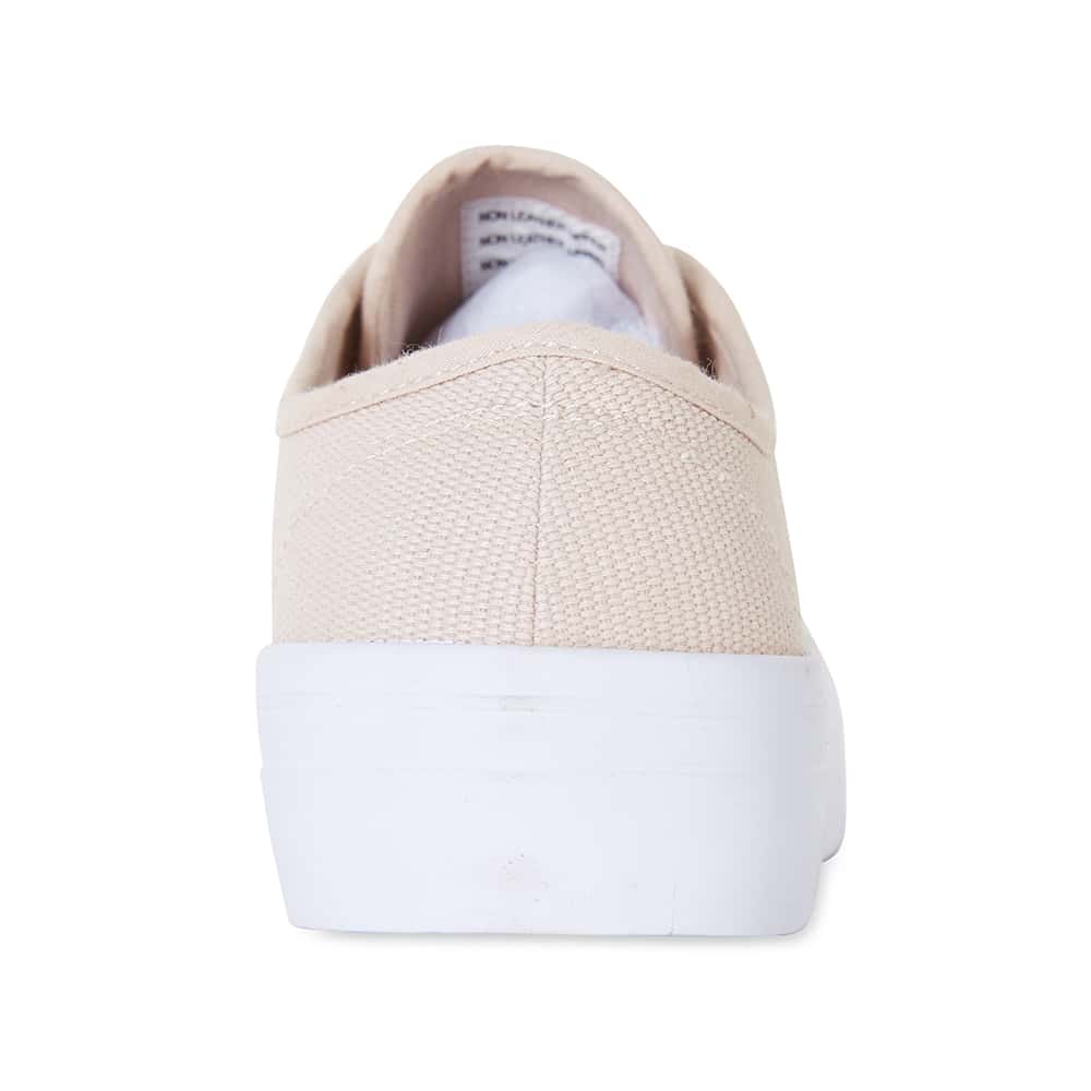 Scott Sneaker in Blush Canvas