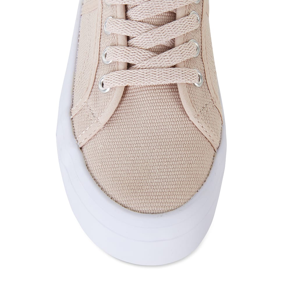 Scott Sneaker in Blush Canvas