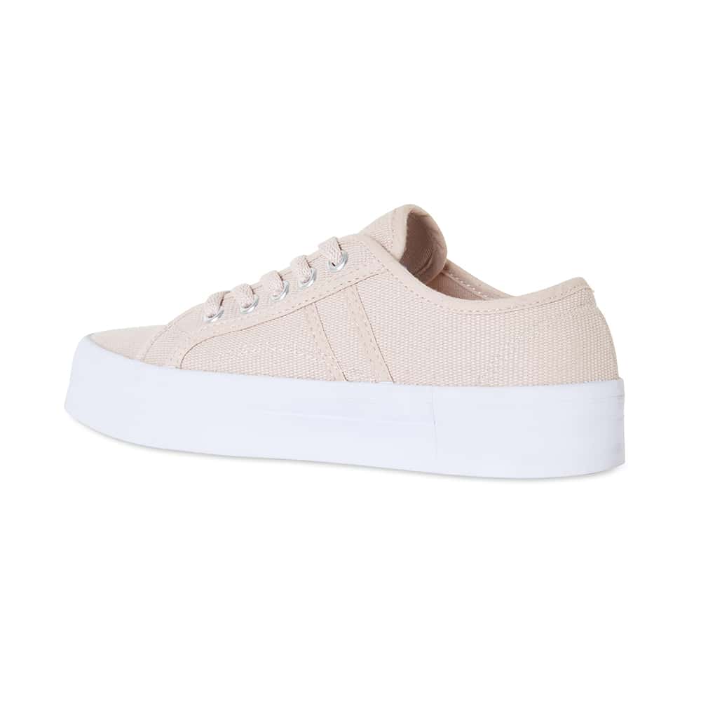 Scott Sneaker in Blush Canvas