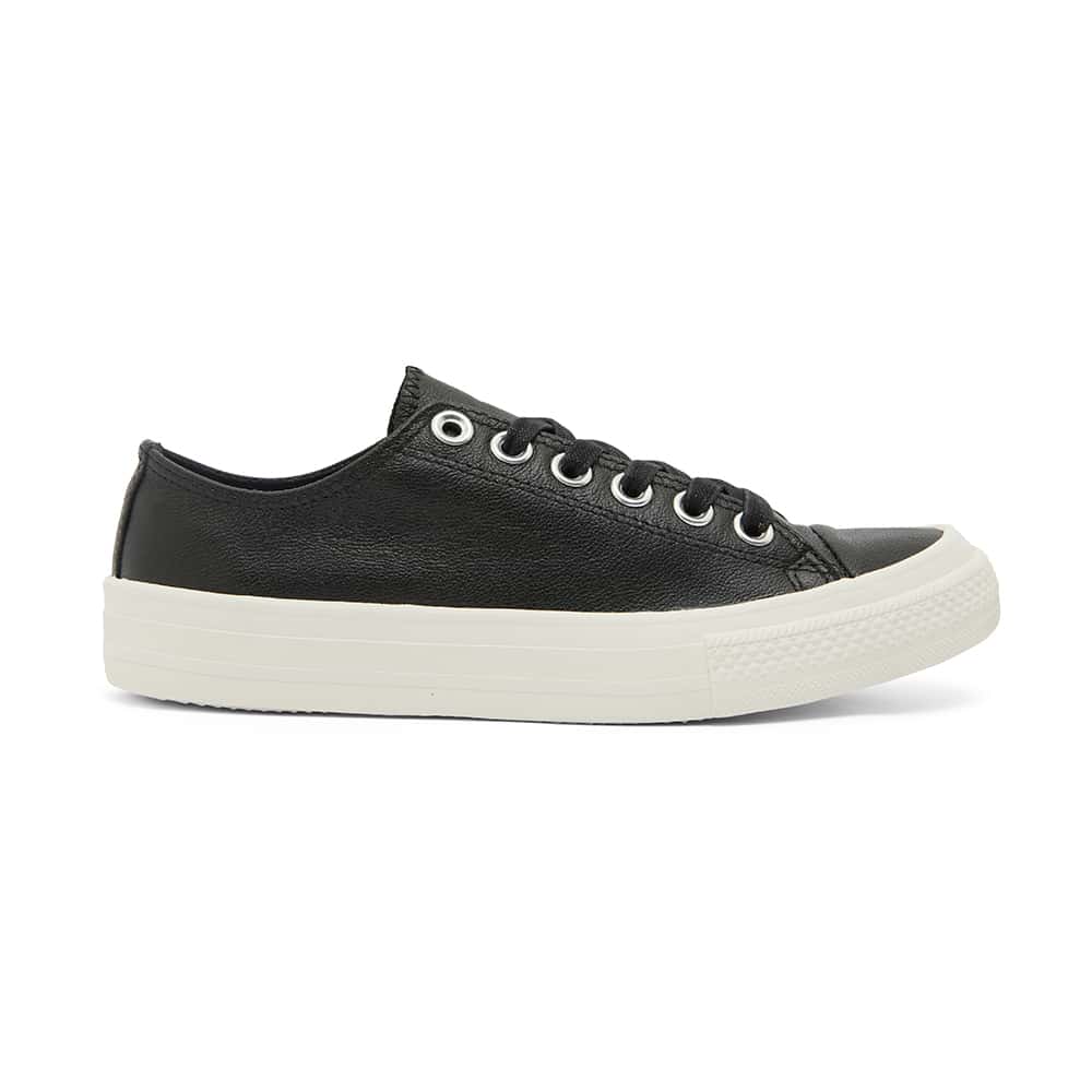 Sheldon Sneaker in Black Leather | Sandler | Shoe HQ