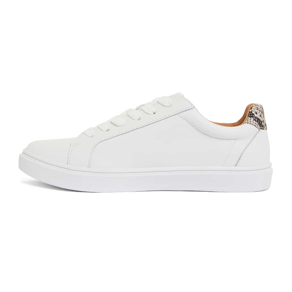 Stark Sneaker in White & Snake Print Leather | Sandler | Shoe HQ