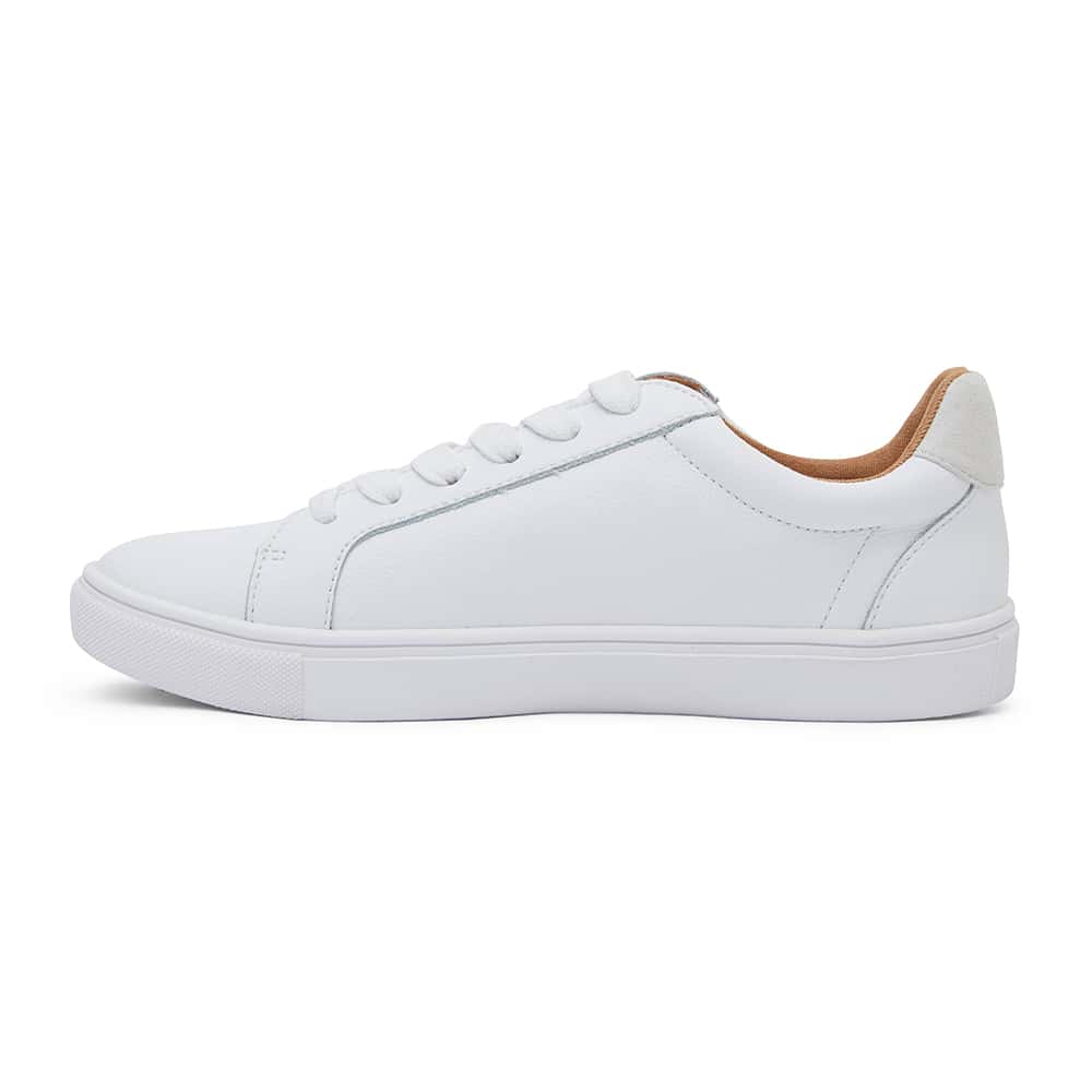 Stark Sneaker in White & Taupe Leather | Sandler | Shoe HQ