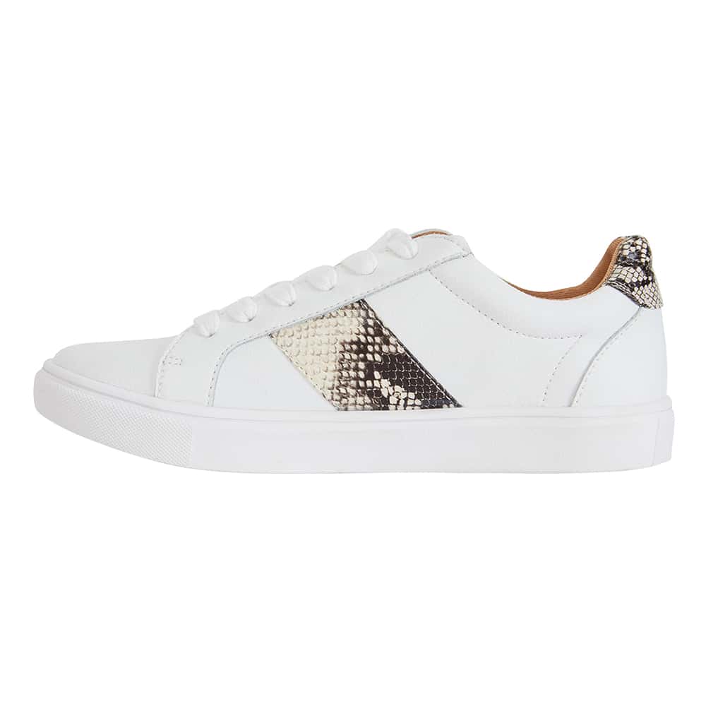 Storm Sneaker in White & Snake Print Leather | Sandler | Shoe HQ